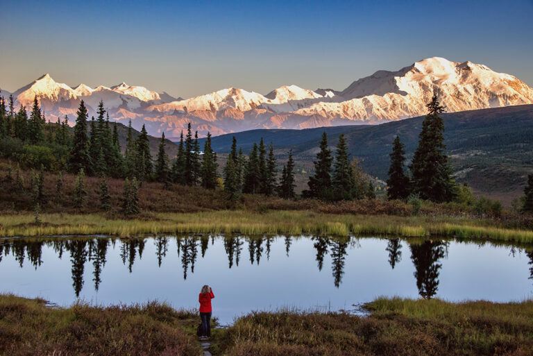 Denali National Park