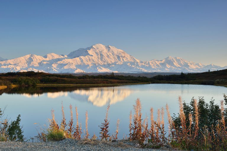 Denali reflected in a pond