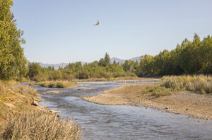 Ship Creek near Anchorage