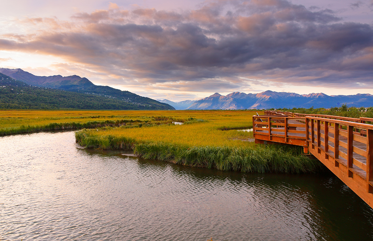 Potter Marsh boardwalk