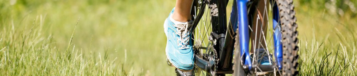 Biking is a favorite activity in and around Fairbanks