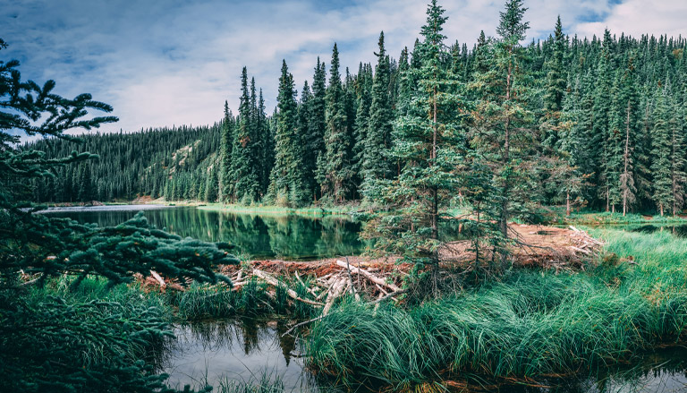 Where to Stay to Experience Alaska