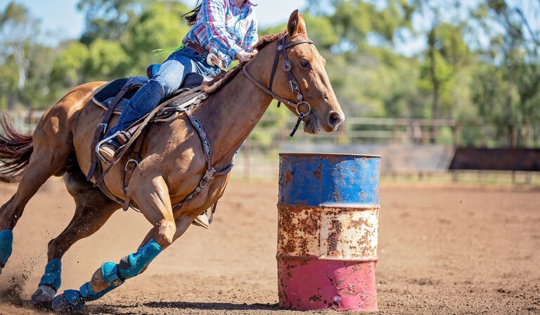Horse in barrel racing competition